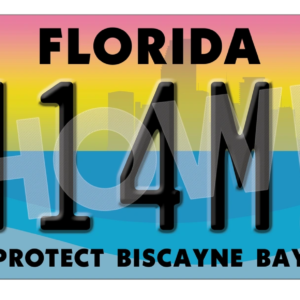 Florida Euro License Plate