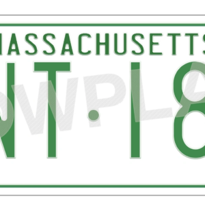 Massachusetts Euro License Plate