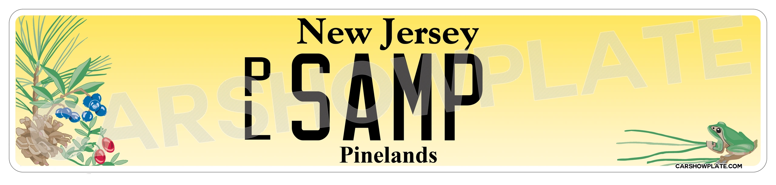 New Jersey Euro License Plate - Image 4