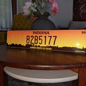 Indiana Euro License Plate