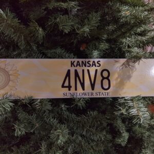 Kansas Euro License Plate