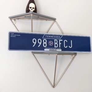 Tennessee Euro License Plate