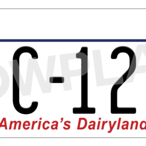 Wisconsin Euro License Plate